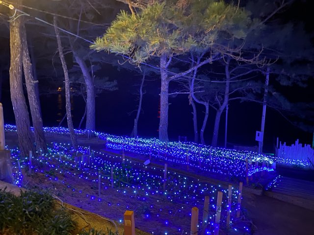 白鶴浜海水浴場