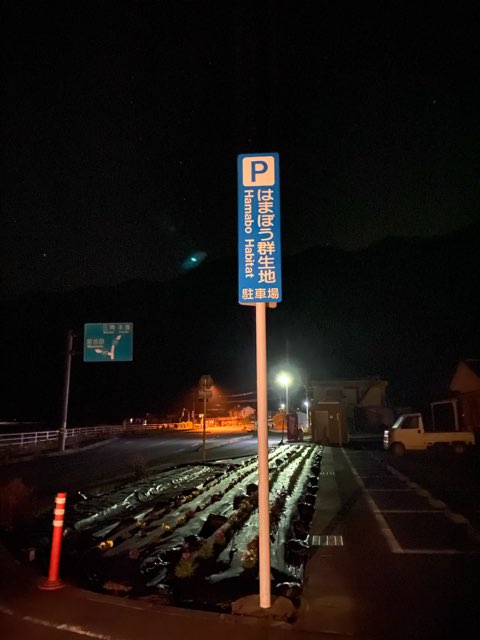 はまぼう群生駐車場