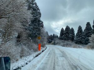 阿蘇のあか牛テロワール旅