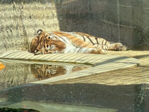 熊本市動植物園