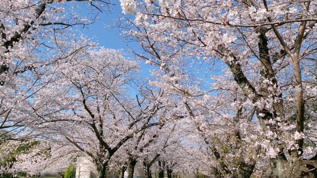 八景水谷公園