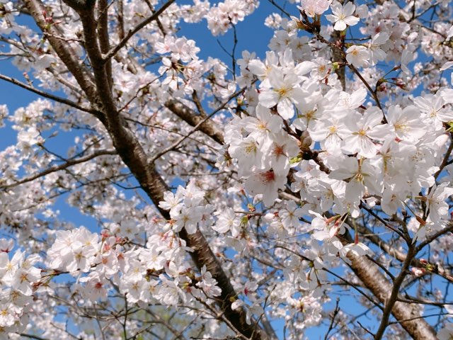 八景水谷公園