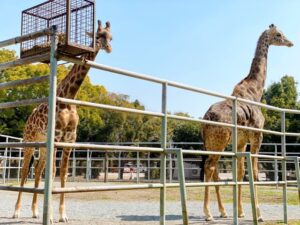 熊本市動植物園