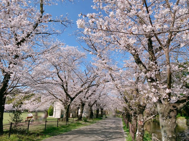 八景水谷公園