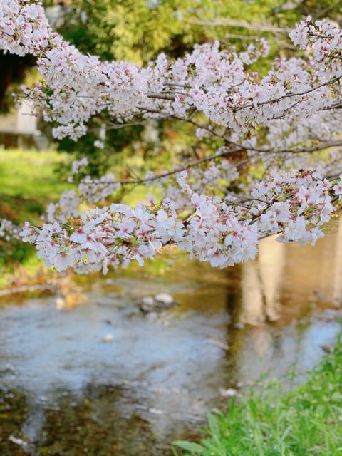 八景水谷公園