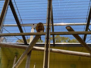 熊本市動植物園