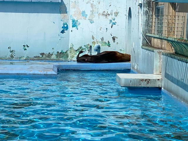 熊本市動植物園