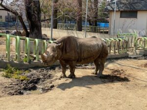 熊本市動植物園