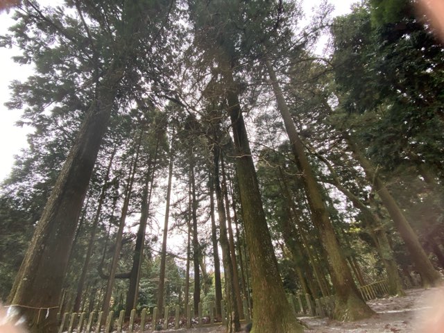 国造神社