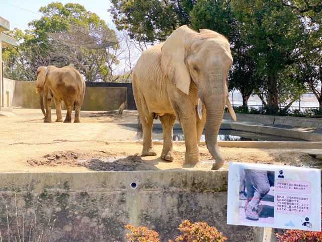 熊本市動植物園