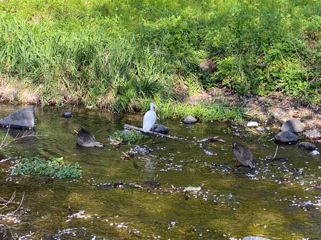 八景水谷公園