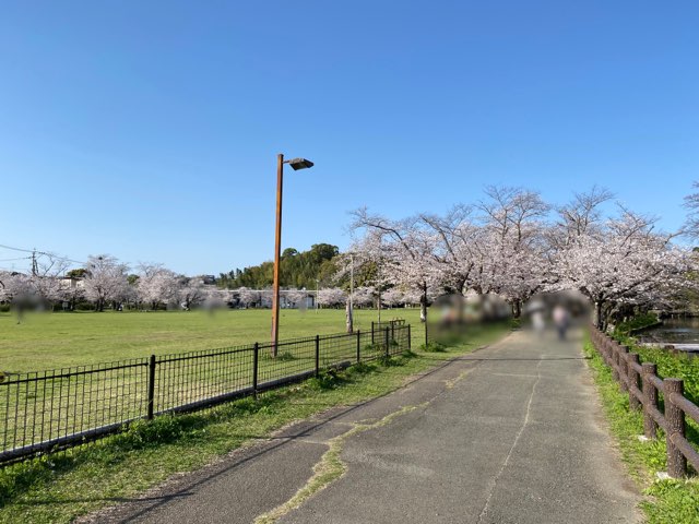 八景水谷公園