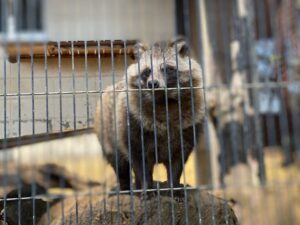 熊本市動植物園