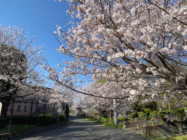 八景水谷公園