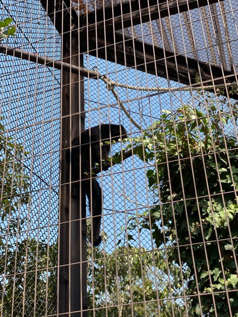 熊本市動植物園