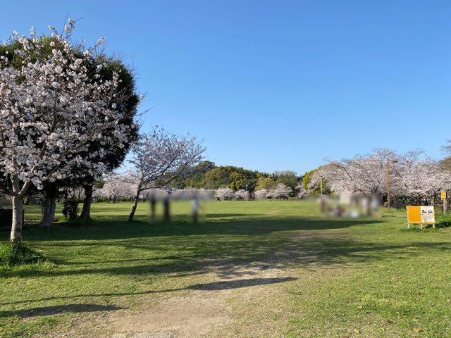 八景水谷公園