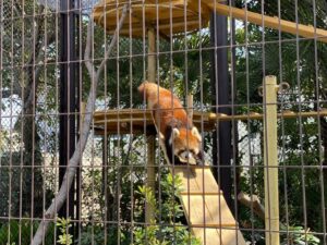 熊本市動植物園