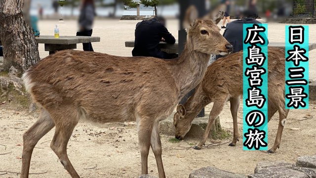 宮島放浪記