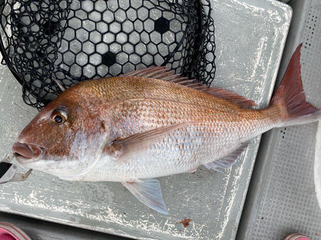 魚釣り