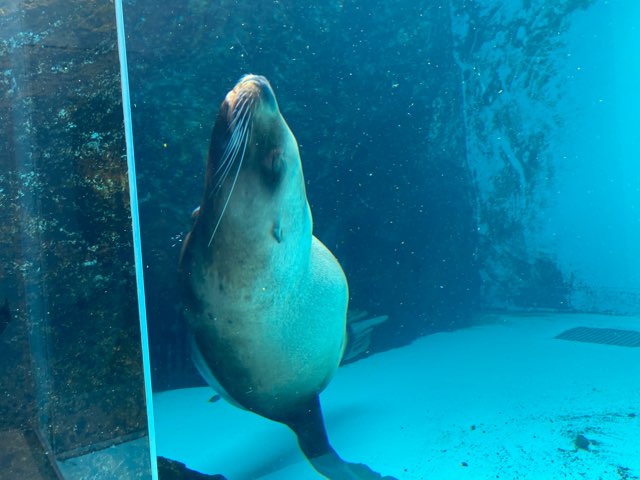 みやじマリン宮島水族館