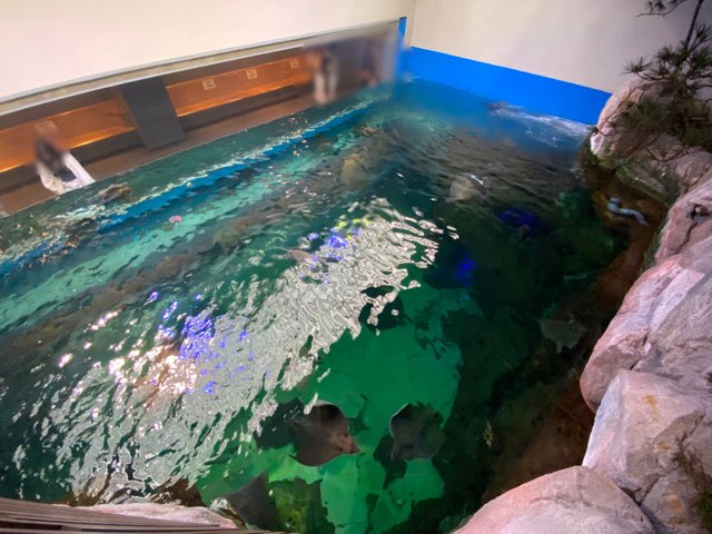 みやじマリン宮島水族館