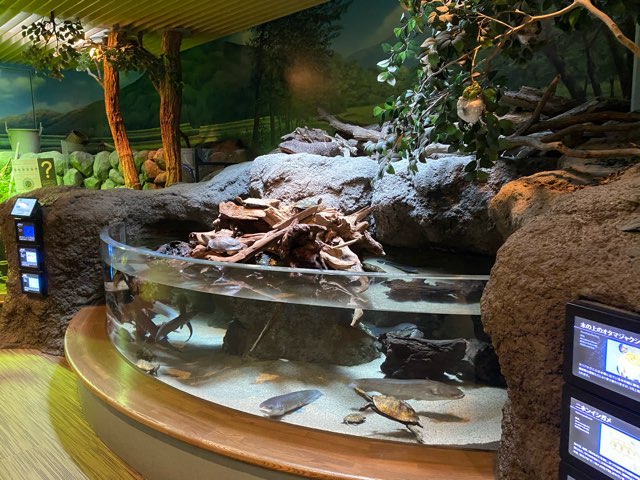 みやじマリン宮島水族館