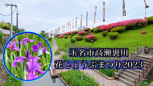 高瀬裏川花しょうぶ