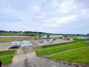 高瀬裏川花しょうぶ