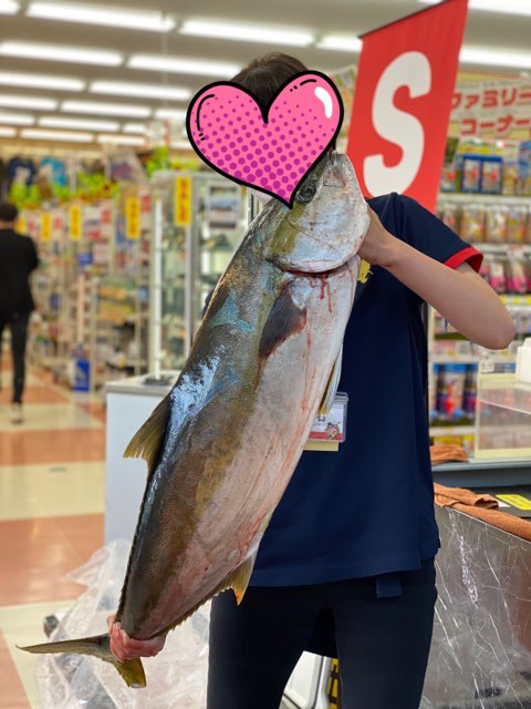 魚釣り