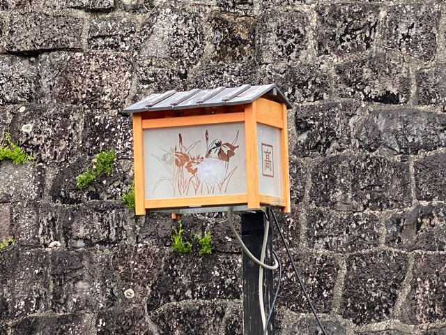 高瀬裏川花しょうぶ