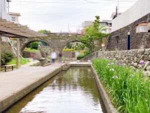 高瀬裏川花しょうぶ