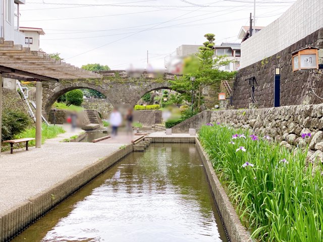 高瀬裏川花しょうぶ