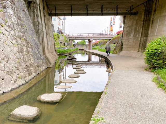 高瀬裏川花しょうぶ