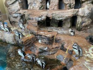 みやじマリン宮島水族館