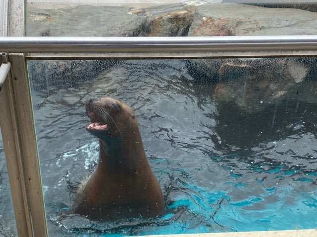 みやじマリン宮島水族館