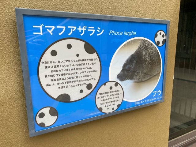 みやじマリン宮島水族館