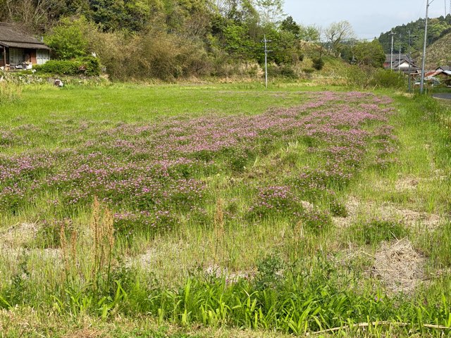 大分県佐伯市ととろバス停