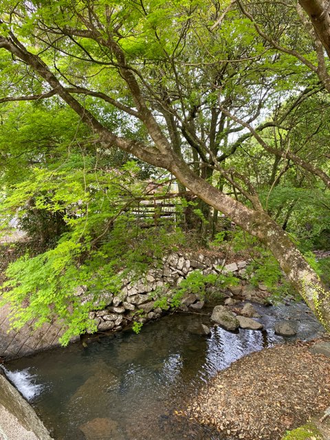 大分県佐伯市ネコバス