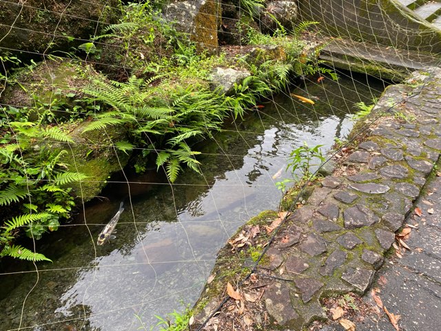 神川大滝公園