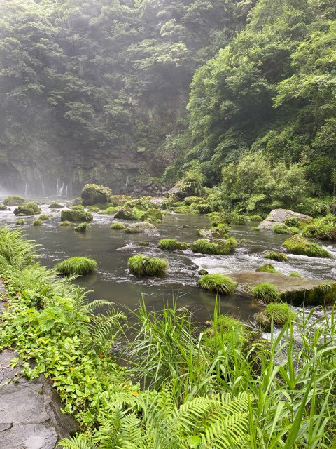 神川大滝公園