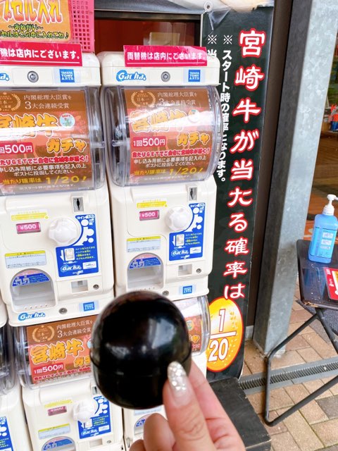 道の駅なんごう
