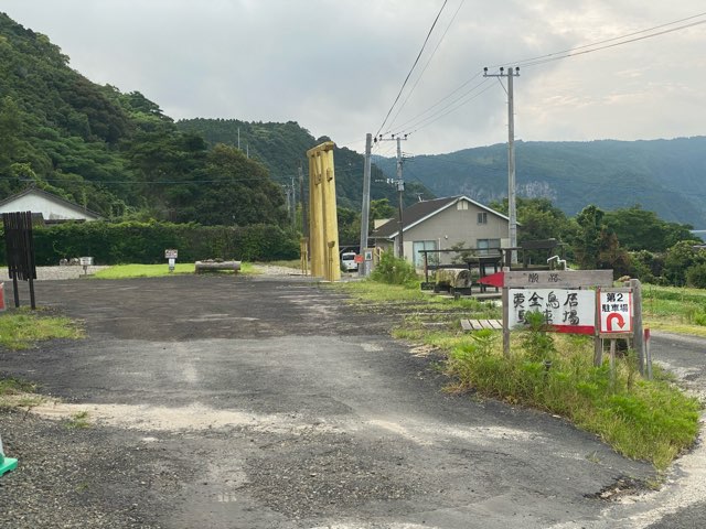 黄金の鳥居・金豊龍