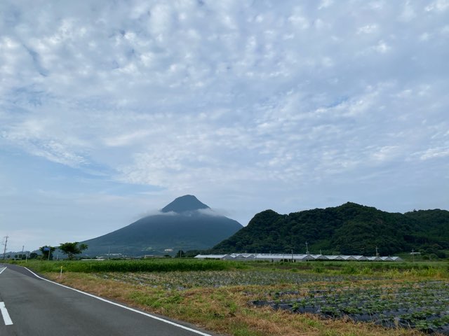 黄金の鳥居・金豊龍