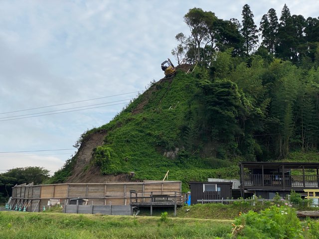 黄金の鳥居・金豊龍