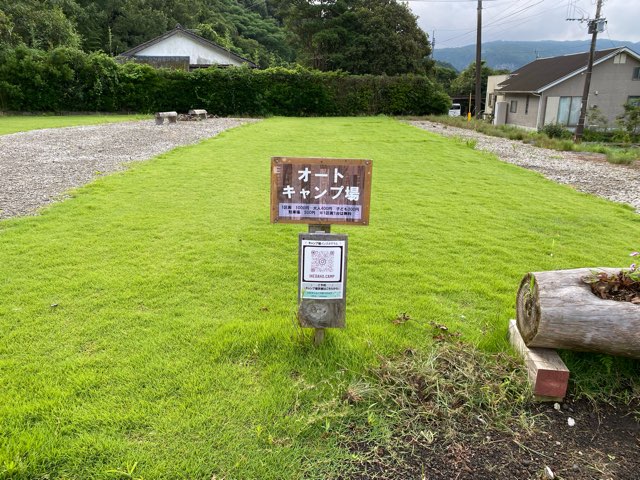 黄金の鳥居・金豊龍