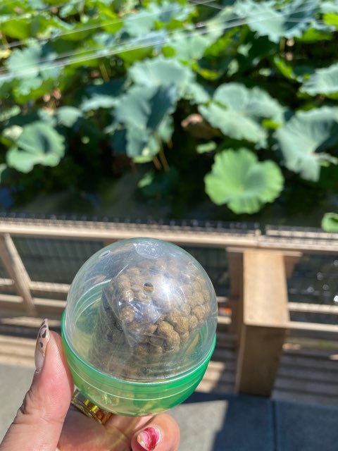 青井阿蘇神社