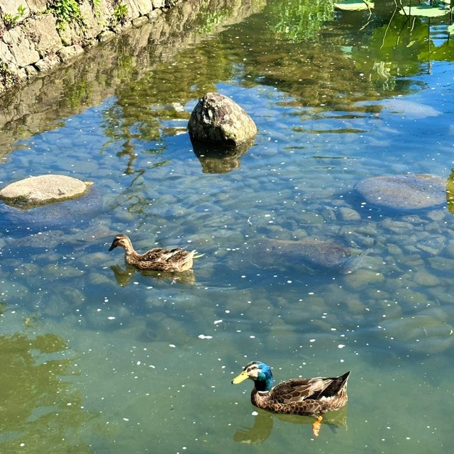 青井阿蘇神社