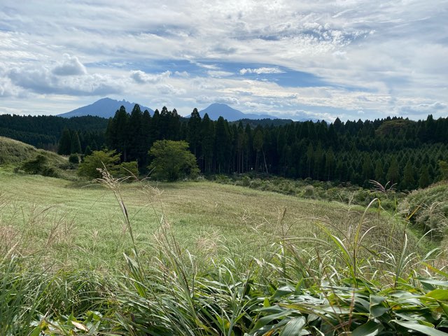 阿蘇波野そば畑