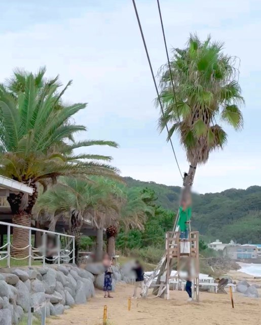 糸島ざうお本店