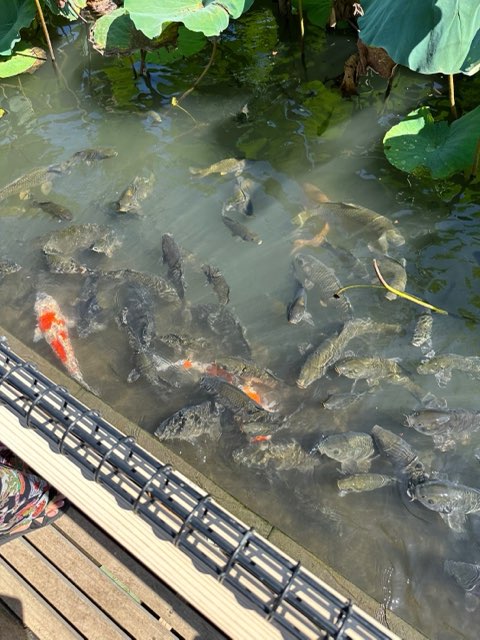 青井阿蘇神社